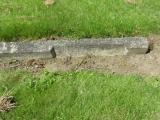 image of grave number 866311